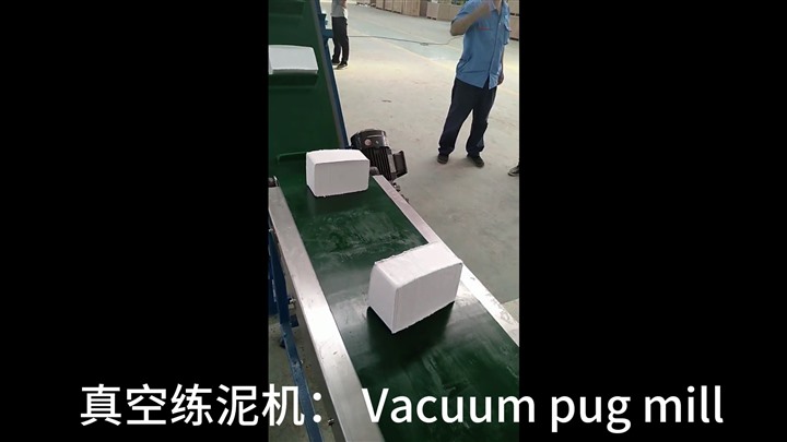 真空練泥機(jī)